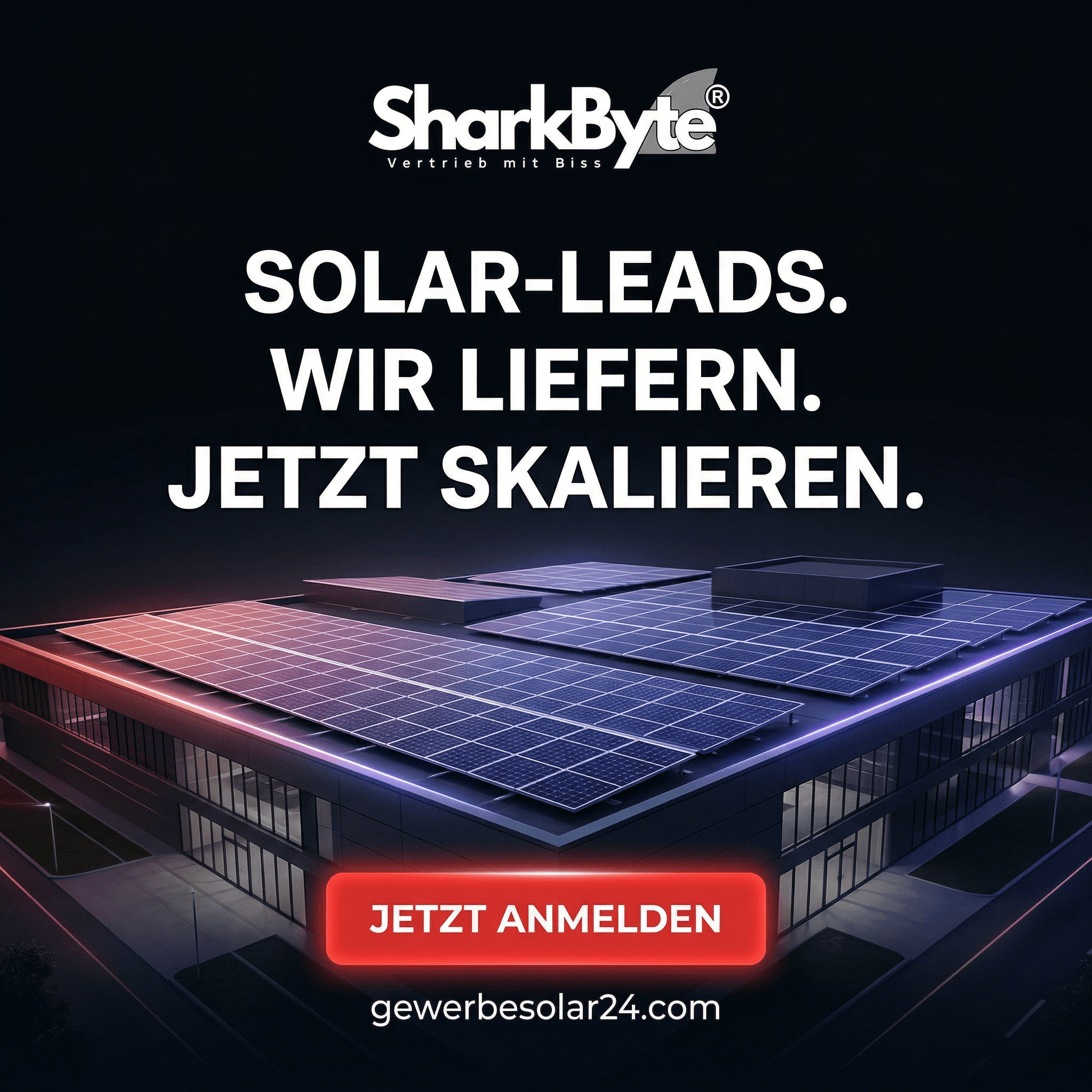 Image ad made in Vibiz for SharkByte