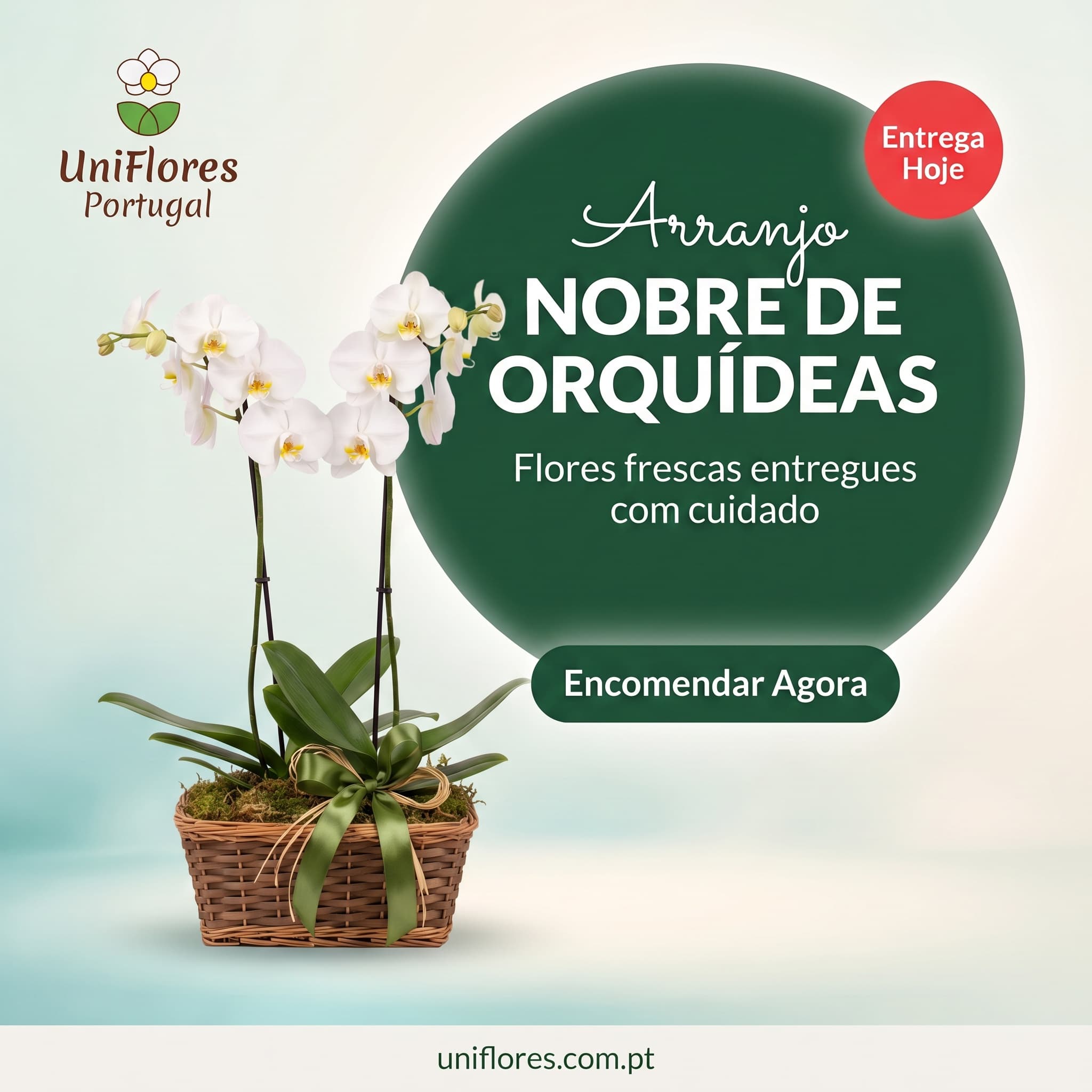 Ad made in Vibiz for Uniflores