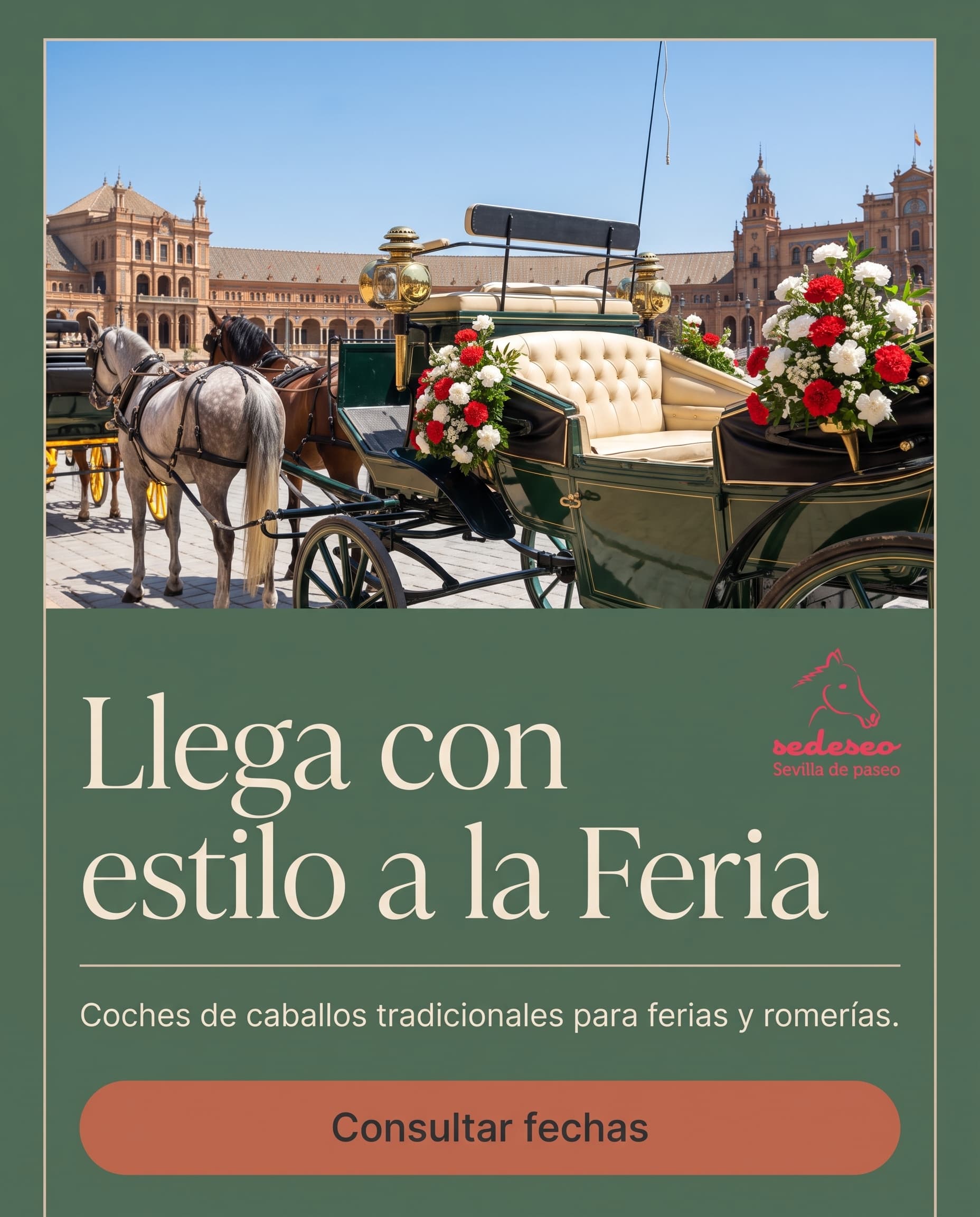 Ad made in Vibiz for Sevilla de Paseo