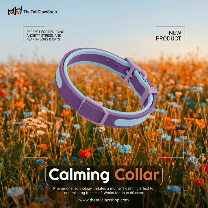 Anuncio de producto para el collar calmante de TheTailClawShop: el collar sobre un prado con flores silvestres, etiquetado como nuevo producto
